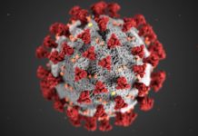 gripa si coronavirus