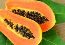 Papaya fructe