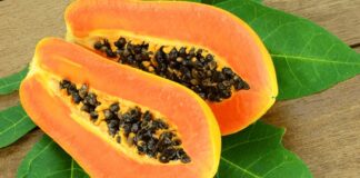 Papaya fructe