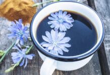 Cicoare, valori nutritionale, planta si cafea